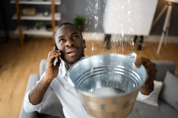 Best Water damage restoration services  in Village Green, NY
