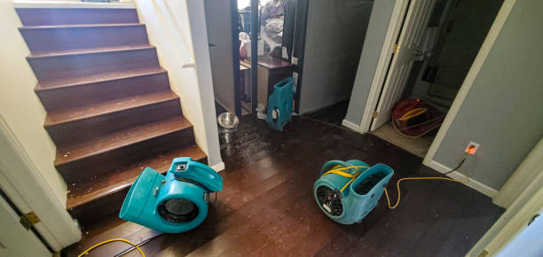 Best Professional water damage repair  in Village Green, NY