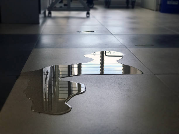 Best Commercial water damage restoration  in Village Green, NY