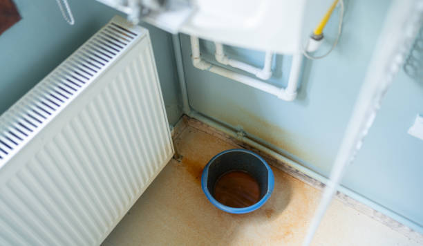 Best Water damage cleanup near me  in Village Green, NY